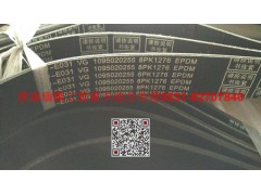VG1069020255,多楔带皮带,济南瑞隆工贸重卡动力专营