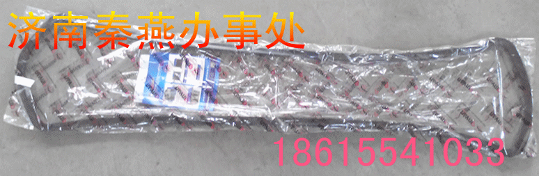 STR  秦燕油底壳胶垫