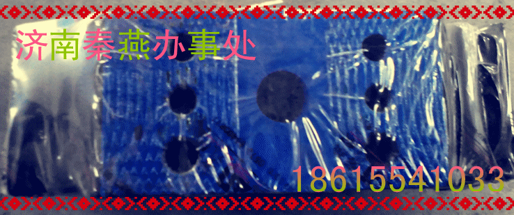 秦燕 STR 后置撑