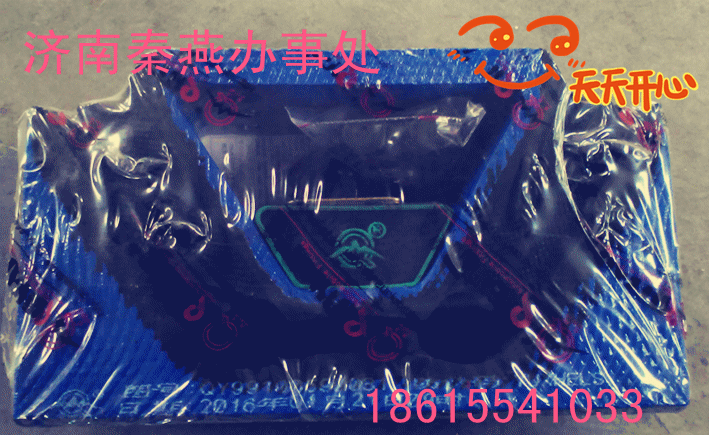 秦燕 STR 后置撑