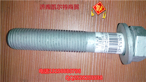 22X110的V推螺丝-13/22X110的V推螺丝-13
