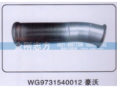 WG9731540012,挠性软管豪沃,济南金刚志方商贸有限公司