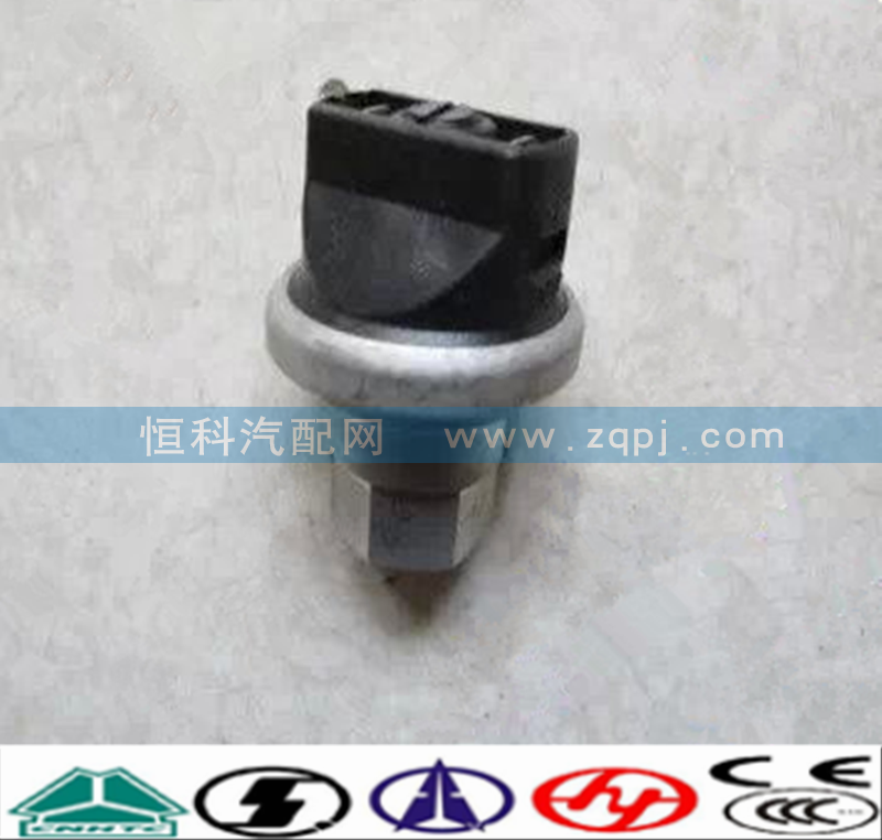 WG1200190040,空滤器堵塞开关,济南嘉磊汽车配件有限公司(原济南瑞翔)