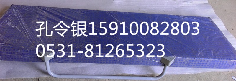 陕汽德龙M3000卧铺上/下PW10G/70-00010/PW10G/70-00010/20