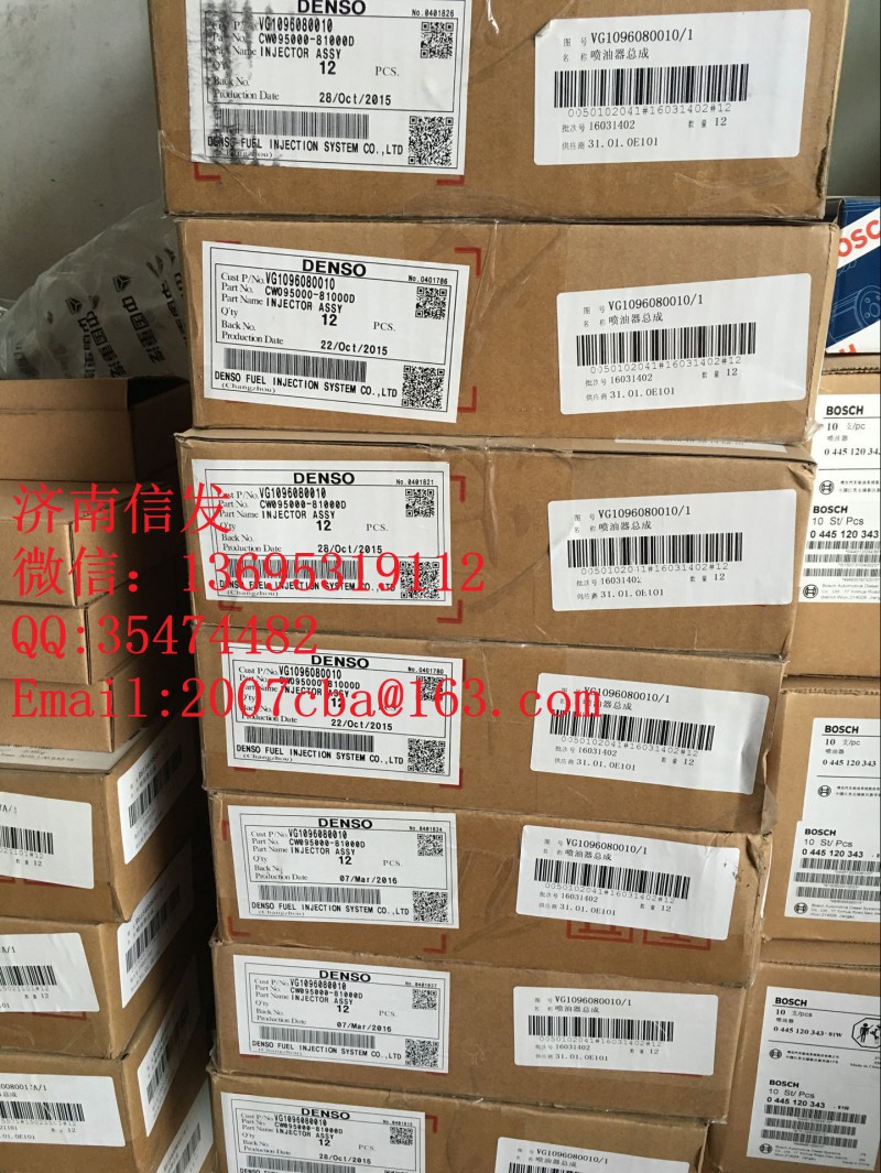 VG1096080010豪沃两气门喷油器总成济南信发/VG1096080010豪沃两气门喷油器总成济南信发