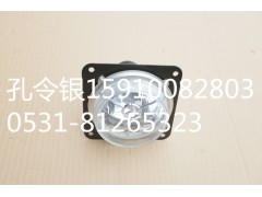 SWM-WG120C-2F,前雾灯,济南隆旭汽车配件有限公司