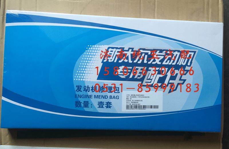 WD615,欧二发动机全车垫, 济南鲁柴动力商贸有限公司
