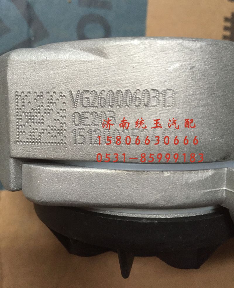 VG2600060313,发动机自动涨紧轮总成, 济南鲁柴动力商贸有限公司