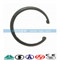 WG2229040003輪邊大卡簧