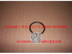 VG1540040010,喷油器衬套密封圈(CNG),济南瑞隆工贸重卡动力专营
