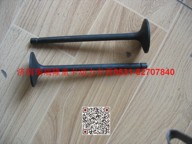 VG1560051001,进气门,济南瑞隆工贸重卡动力专营