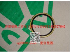 VG2600010735,复合垫圈,济南瑞隆工贸重卡动力专营