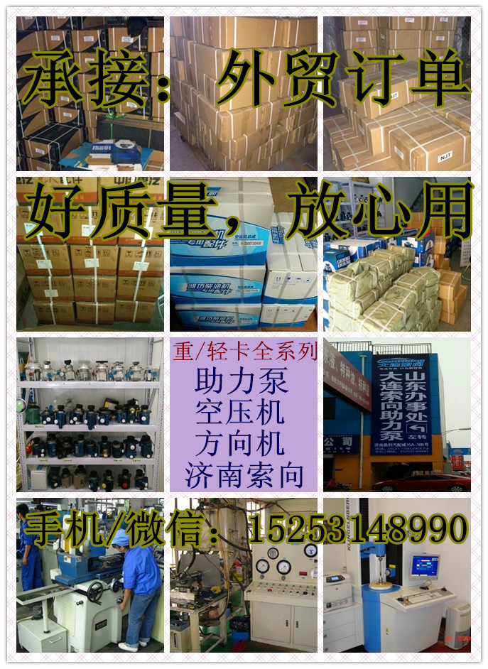 612630030005,助力泵/叶片泵/齿轮泵,济南索向汽车配件有限公司