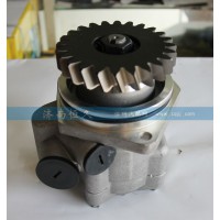转向泵DZ95319130002