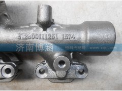 612600111251,排气支管,济南博涵汽配有限公司