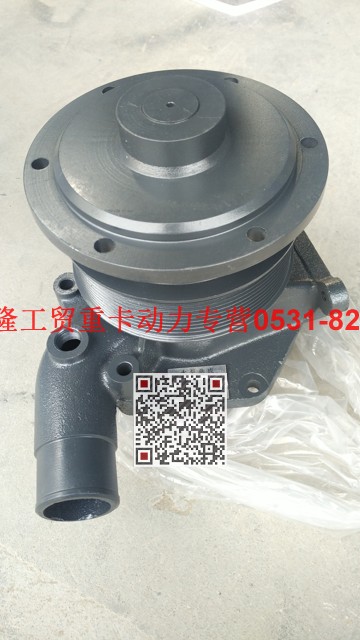 612600061941,水泵总成,济南瑞隆工贸重卡动力专营