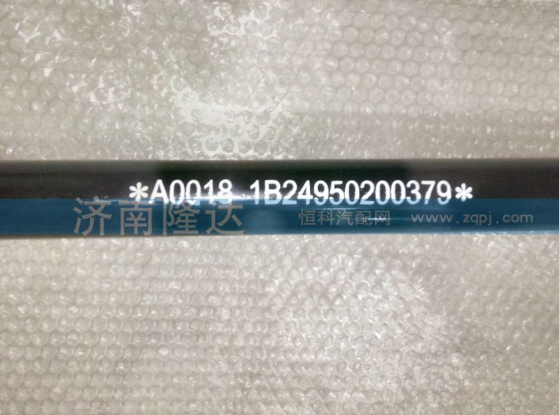 歐曼翻轉(zhuǎn)軸1B249502000379/1B249502000379