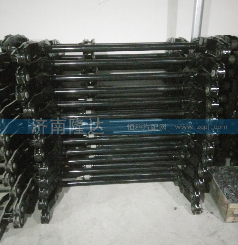 歐曼翻轉(zhuǎn)軸1B24950200379/1B24950200379