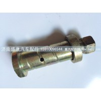AZ1642430071翻轉(zhuǎn)軸螺絲