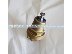 DJK-6L1,经济阀 侧进,济南腾飞汽配