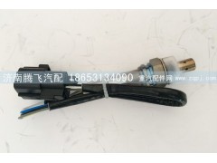 VG1540090052,洋浓度传感器（重汽10L）,济南腾飞汽配