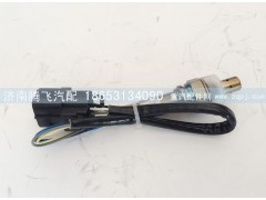 VG1540090052,洋浓度传感器（重汽10L）,济南腾飞汽配