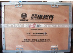 612600900075A,潍柴 专用维修间 心组件,济南腾飞汽配