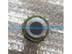 DZ93189582550,后制动灯开关 刹车灯开关,济南汇达汽配销售中心