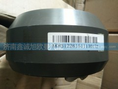 HFF2510111CK1E,轴间差速器壳,济南鑫诚旭欧曼汽车配件有限公司