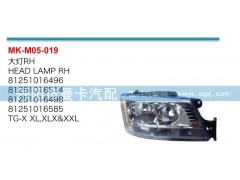 81251016496,大灯,丹阳市曼卡汽车部件有限公司