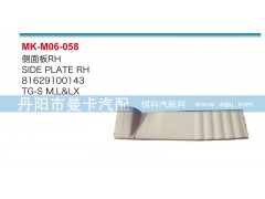 81629100143,侧面板,丹阳市曼卡汽车部件有限公司