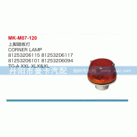 81253206101,上脚踏板灯,丹阳市曼卡汽车部件有限公司