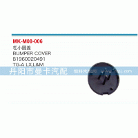 杠小圆盖81960020491