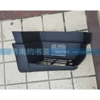 WG1664245010T5G右踏板