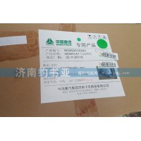 WG9925720002A7前大燈總成