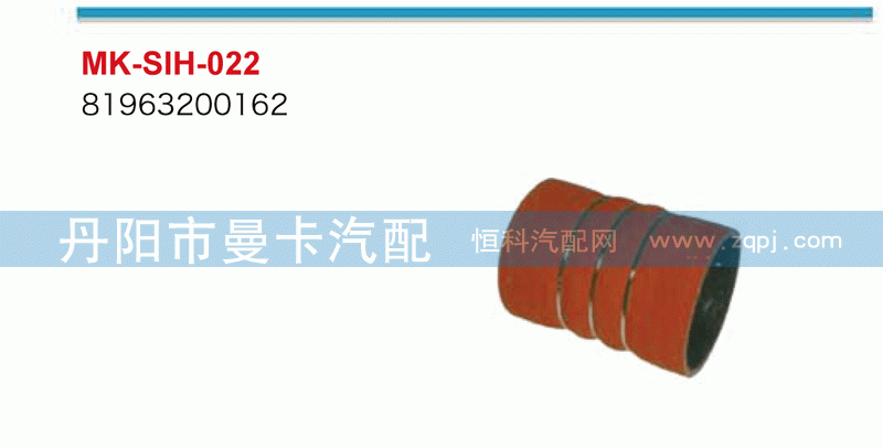 81963200162