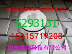 5293131,尿素泵滤芯,济南鑫阳重卡创业工贸有限公司