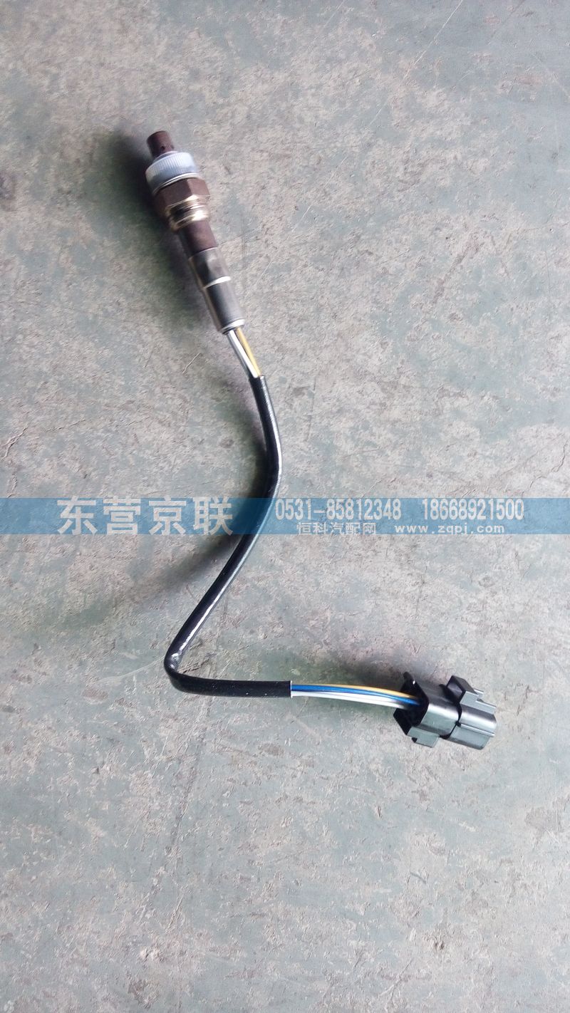 VG1540090052氧浓度传感器图1