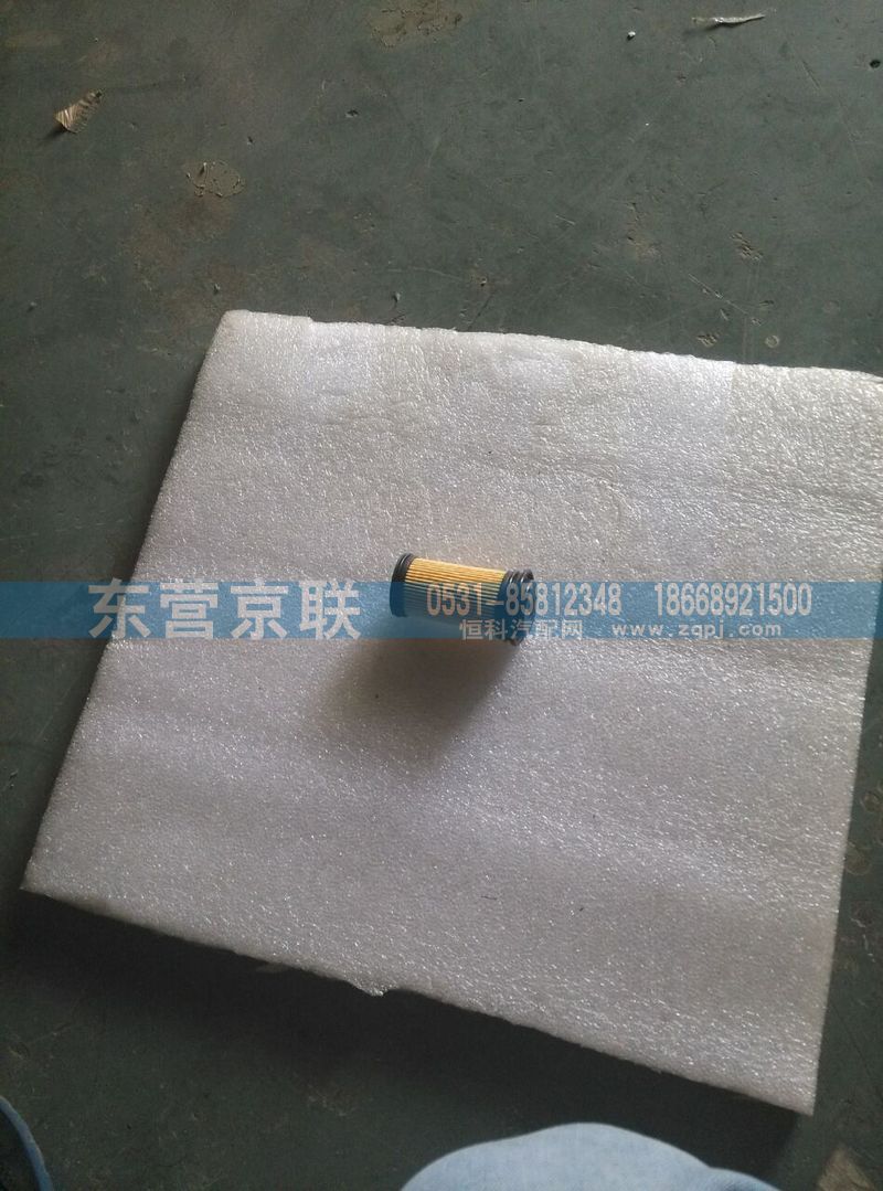 WG1034121181+001过滤器芯图1