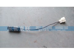 WG1630820313,温度传感器总成,东营京联汽车销售服务有限公司