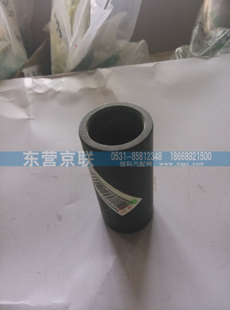 WG9000520078衬套图1