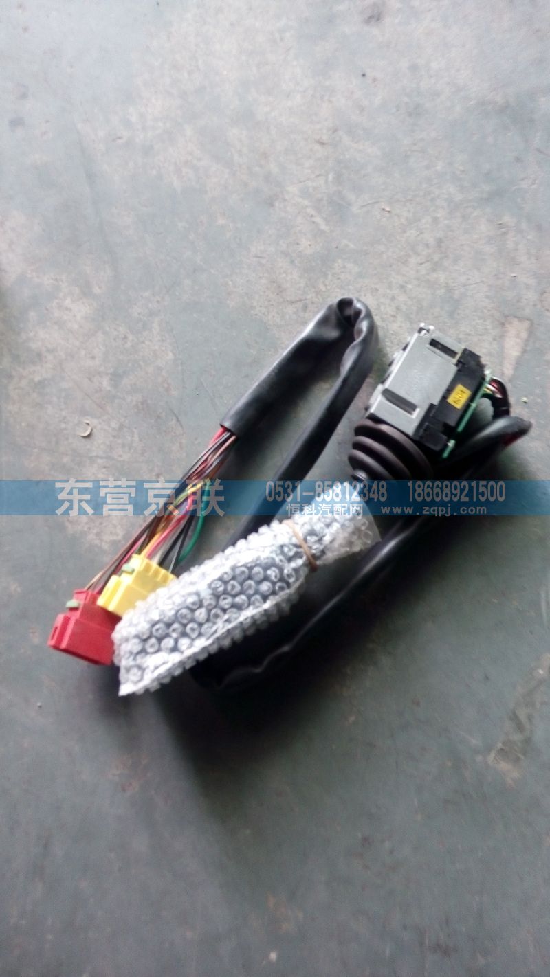 WG9130583117,组合开关,东营京联汽车销售服务有限公司