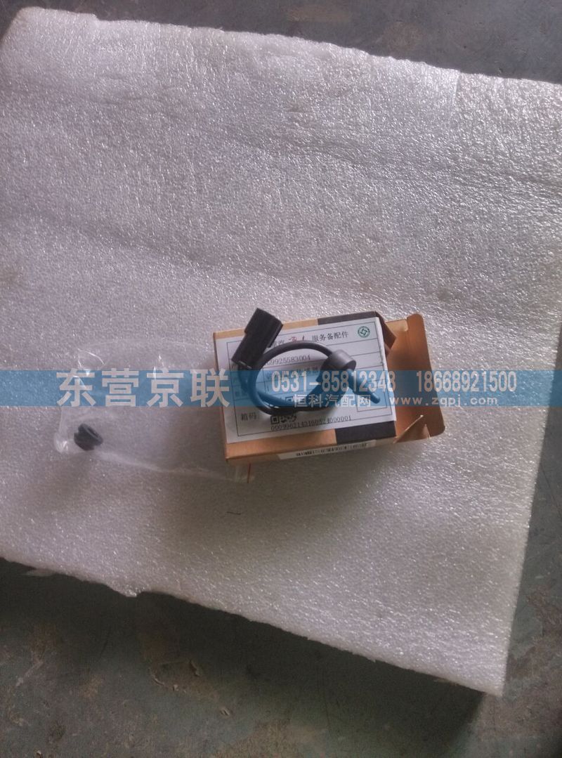 WG9925583004室外温度传感器图1