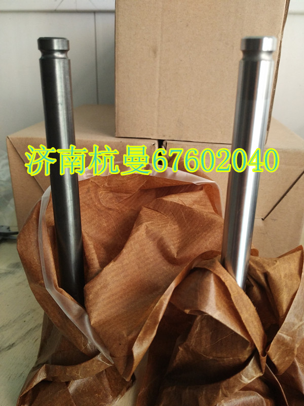 612600050168,进气门,济南杭曼汽车配件有限公司