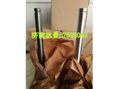 612600050168,进气门,济南杭曼汽车配件有限公司