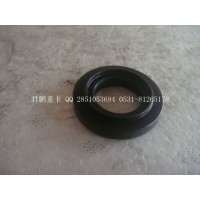 济南君鹏供应气门弹簧座圈612600040443