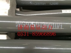 9750430010,转向直拉杆总成,济南易辰动力汽车配件公司