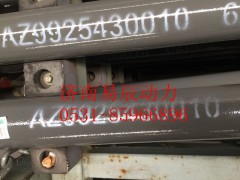 9925430010,转向直拉杆总成,济南易辰动力汽车配件公司