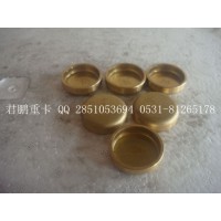 济南君鹏供应碗形塞90003989294   30的