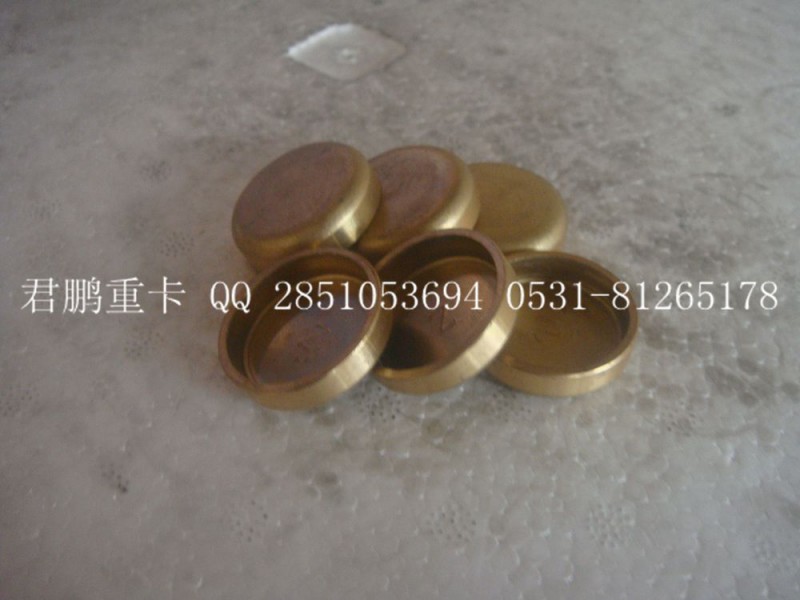 济南君鹏供应碗形塞90003989294   30的/90003989294